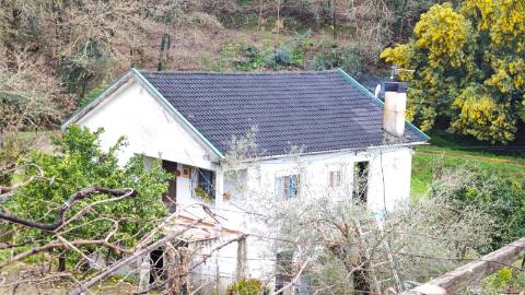 Quinta 10 min de Ponte de Lima com pomar e vinhedo