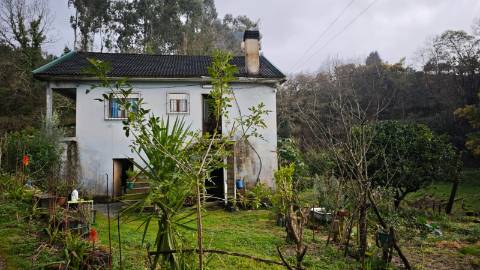 Quinta 10 min de Ponte de Lima com pomar e vinhedo