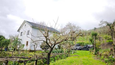 Quinta 10 min de Ponte de Lima com pomar e vinhedo