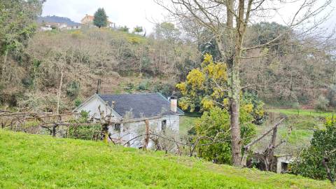 Quinta 10 min de Ponte de Lima com pomar e vinhedo