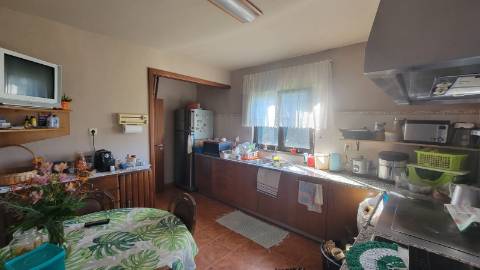 Quinta 10 min de Ponte de Lima com pomar e vinhedo