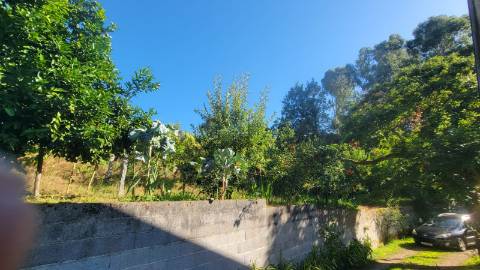 Quinta 10 min de Ponte de Lima com pomar e vinhedo