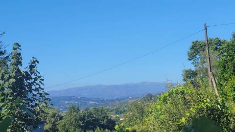 Quinta 10 min de Ponte de Lima com pomar e vinhedo