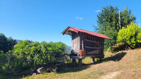 Quinta 10 min de Ponte de Lima com pomar e vinhedo