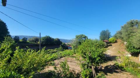 Quinta 10 min de Ponte de Lima com pomar e vinhedo