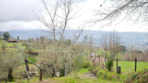 Quinta 10 min de Ponte de Lima com pomar e vinhedo