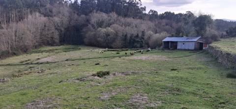 Terreno com 11000m2 na Miranda