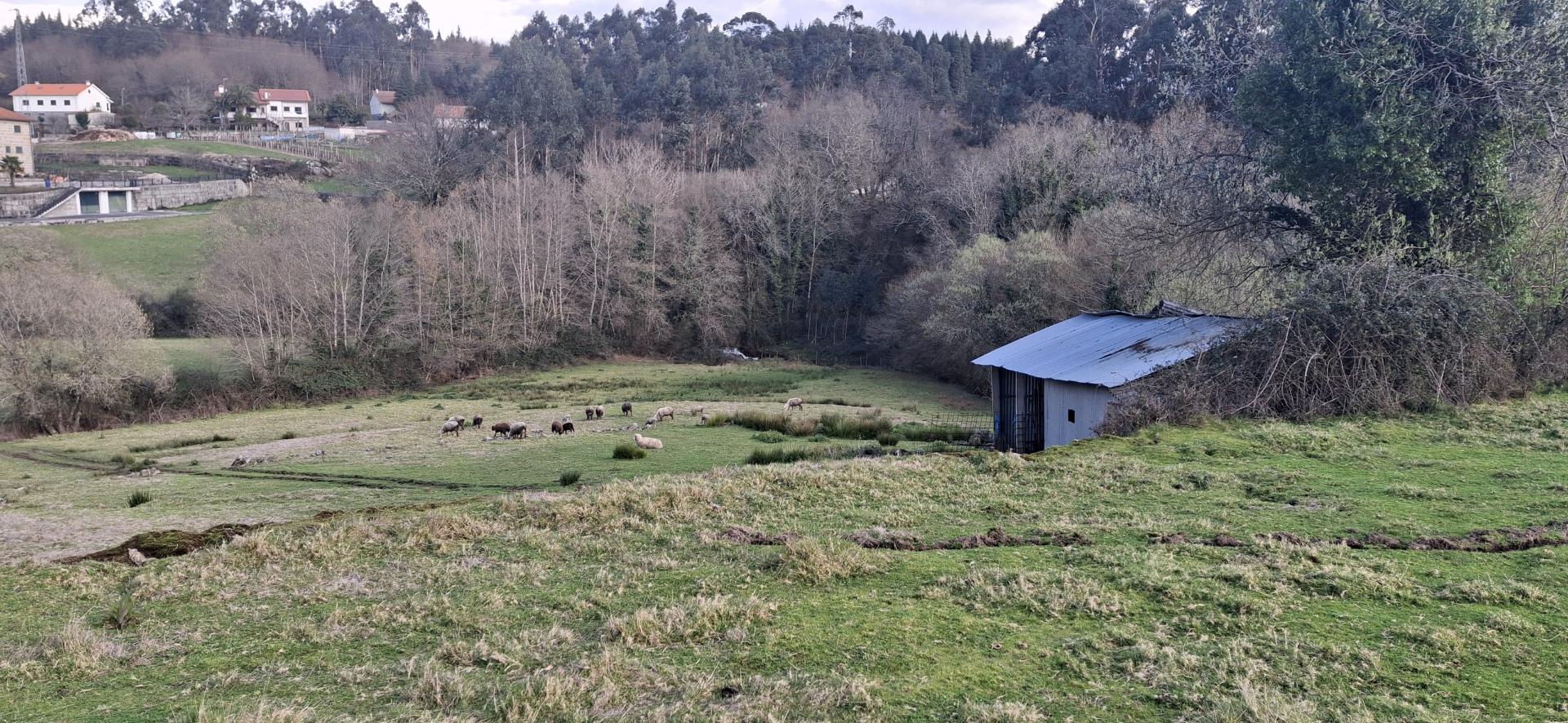 Terreno com 11000m2 na Miranda