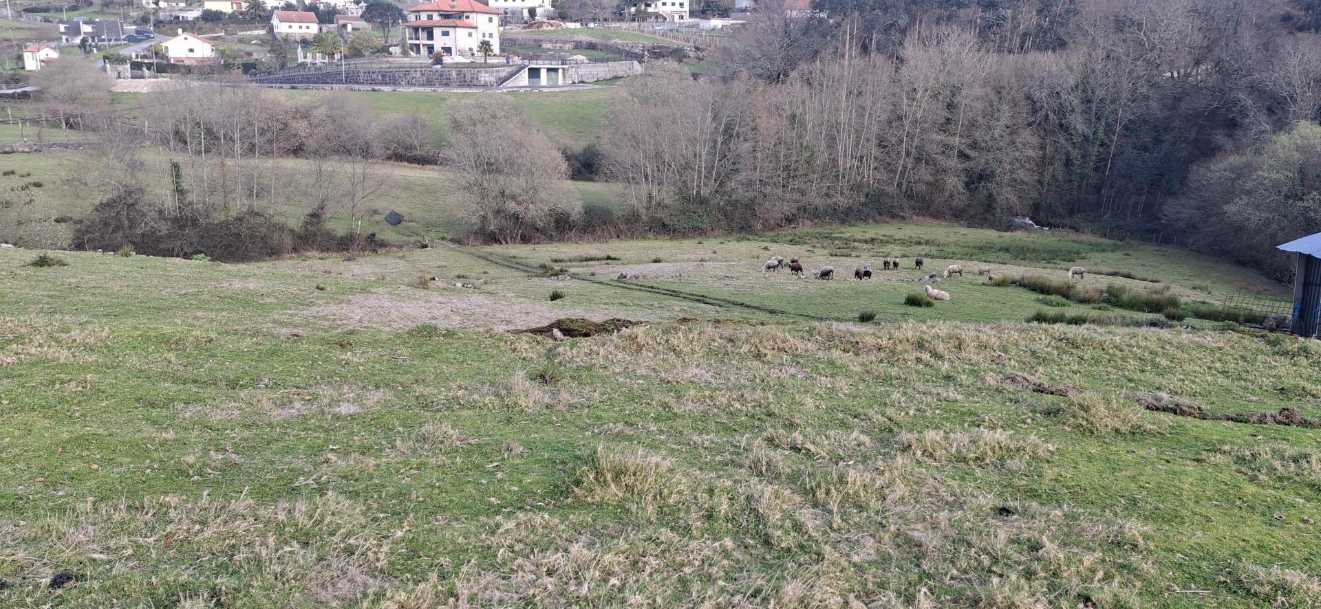 Terreno com 11000m2 na Miranda