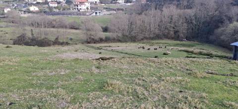 Terreno com 11000m2 na Miranda