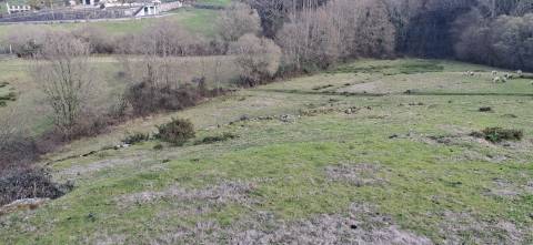 Terreno com 11000m2 na Miranda