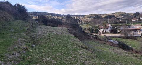 Terreno com 11000m2 na Miranda