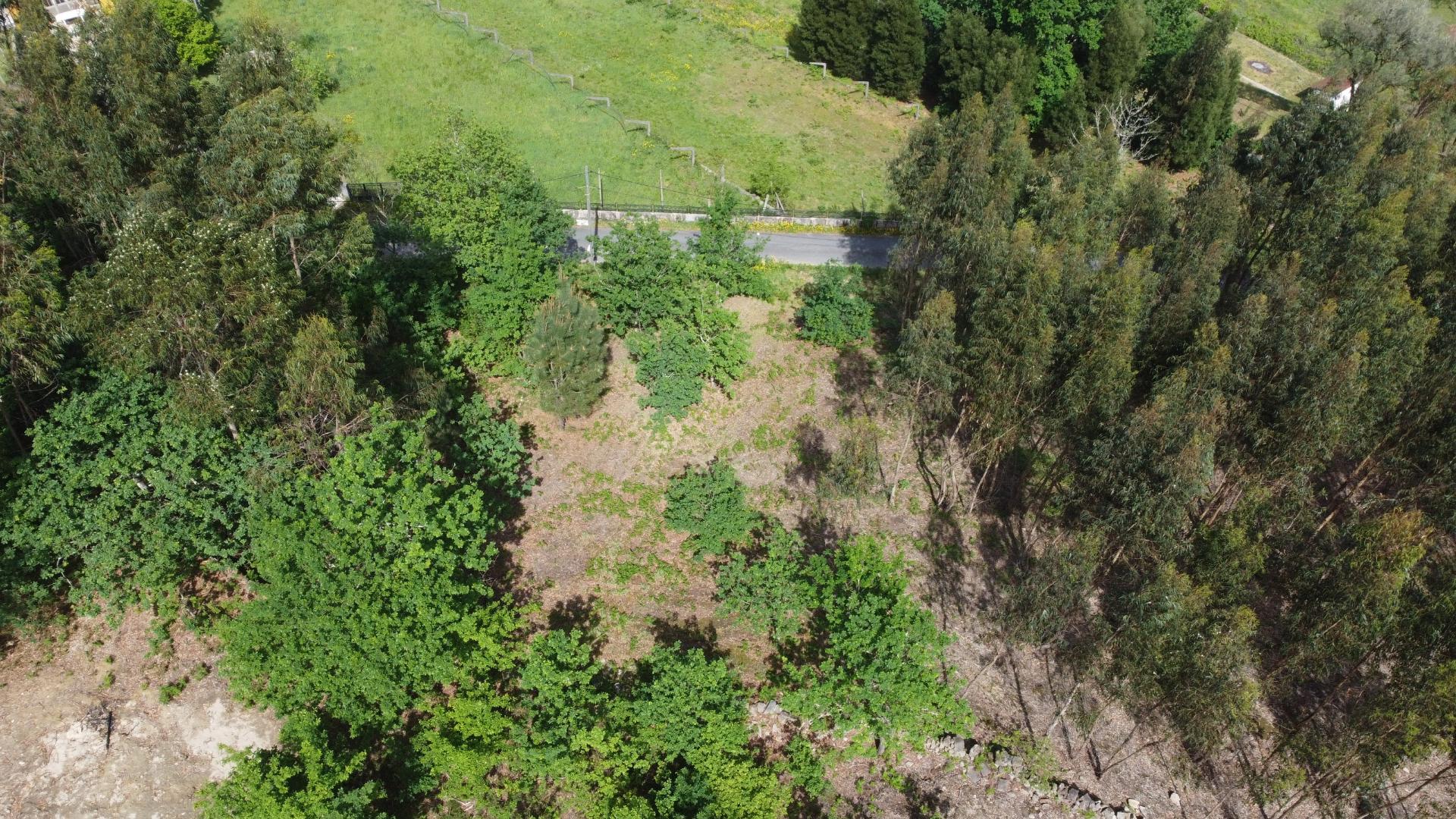 Terreno para Construção - Sabadim