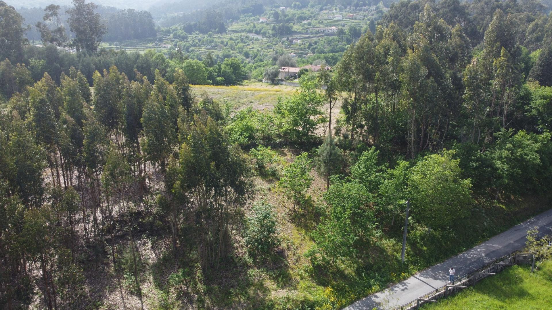 Terreno para Construção - Sabadim