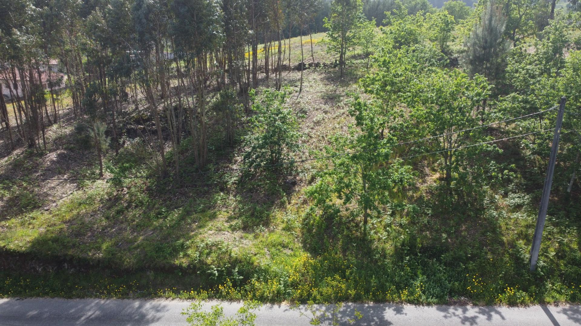 Terreno para Construção - Sabadim