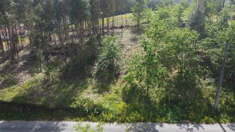 Terreno para Construção - Sabadim