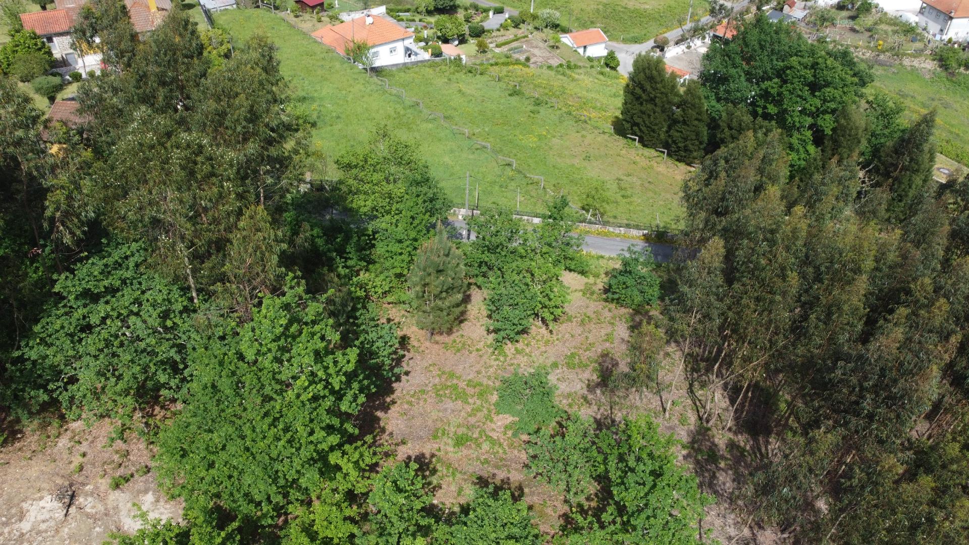 Terreno para Construção - Sabadim