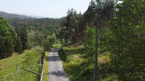 Terreno para Construção - Sabadim