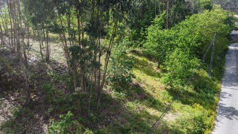 Terreno para Construção - Sabadim