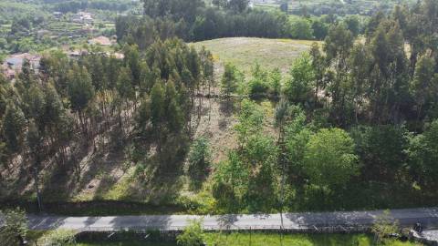 Terreno para Construção - Sabadim