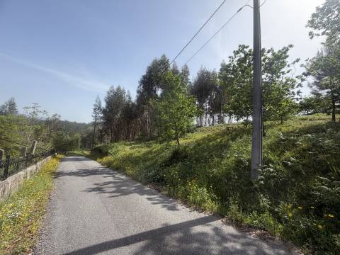 Terreno para Construção - Sabadim