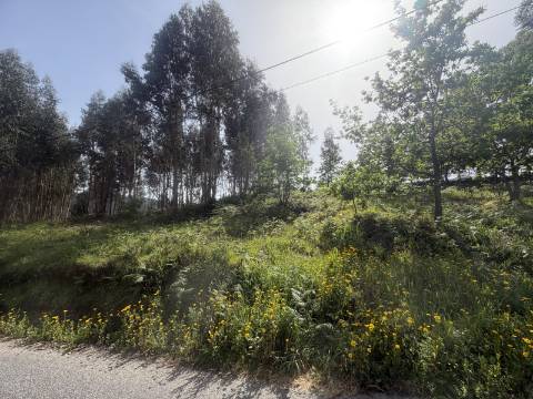 Terreno para Construção - Sabadim