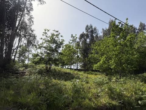 Terreno para Construção - Sabadim