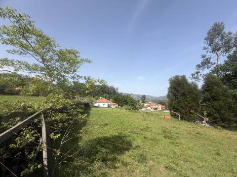 Terreno para construção - Sabadim