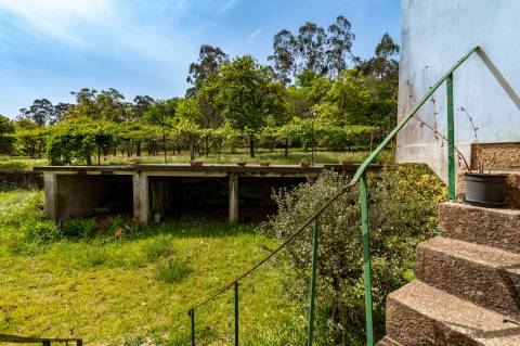 Moradias em Pedra (3 artigos) - Freixo, Ponte de Lima