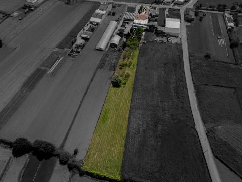 Moradia T3 com amplo terreno em Oliveirinha, Aveiro