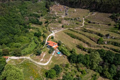 Quinta com Produção para venda