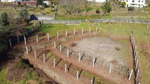 Terreno com 1.480 m² - Loureda, Arcos de Valdevez