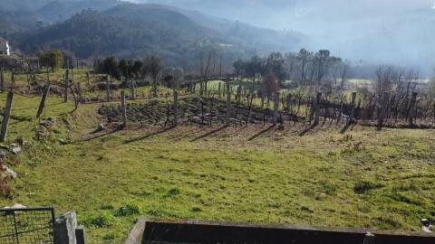 Terreno com 1.480 m² - Loureda, Arcos de Valdevez