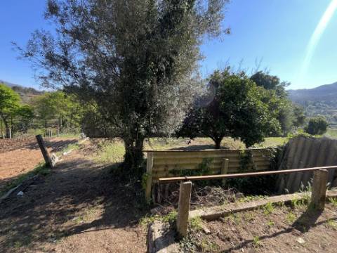 Moradia T3 com adega e lagar - Potencial único em Rebodões, Ponte de Lima