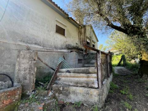 Moradia T3 com adega e lagar - Potencial único em Rebodões, Ponte de Lima