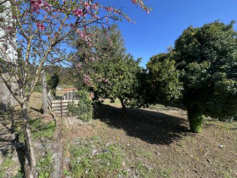 Moradia T3 com adega e lagar - Potencial único em Rebodões, Ponte de Lima