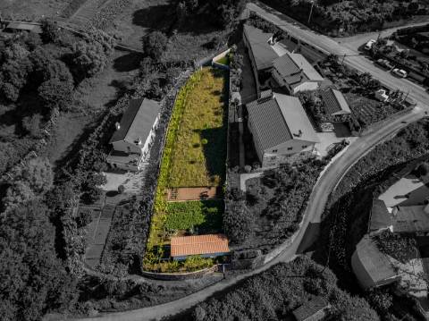 Terreno em Zona de Costrução - Plano e Murado