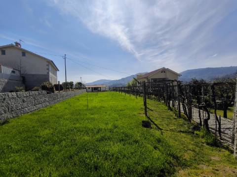 Terreno em Zona de Costrução - Plano e Murado