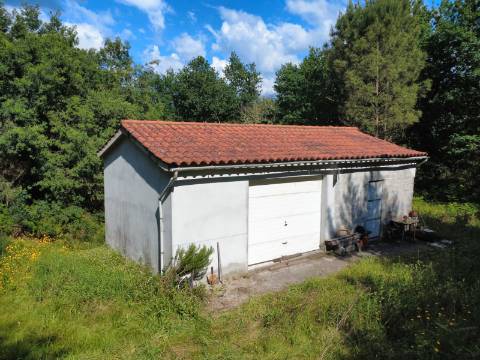 Quinta Isolada com Água de Mina e Dependência Agrícola em Arcos de Valdevez