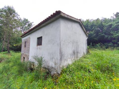 Quinta Isolada com Água de Mina e Dependência Agrícola em Arcos de Valdevez