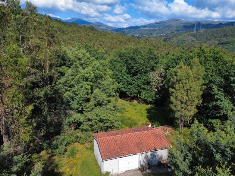Quinta Isolada com Água de Mina e Dependência Agrícola em Arcos de Valdevez