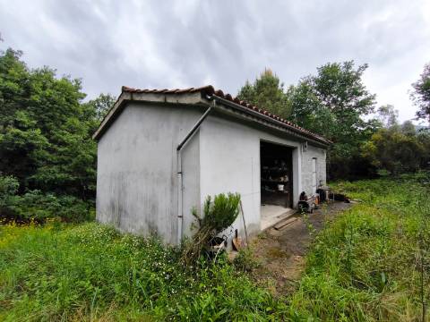 Quinta Isolada com Água de Mina e Dependência Agrícola em Arcos de Valdevez