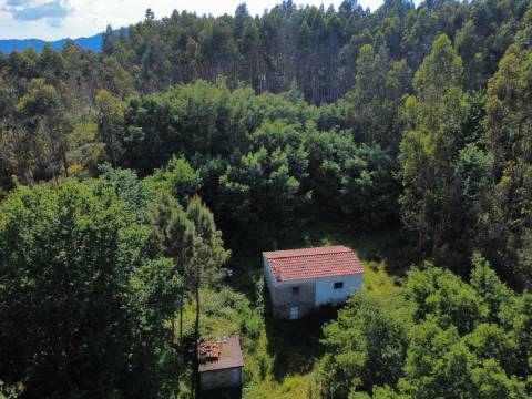 Quinta Isolada com Água de Mina e Dependência Agrícola em Arcos de Valdevez