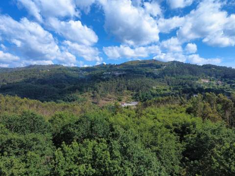 Quinta Isolada com Água de Mina e Dependência Agrícola em Arcos de Valdevez