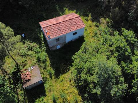 Quinta Isolada com Água de Mina e Dependência Agrícola em Arcos de Valdevez