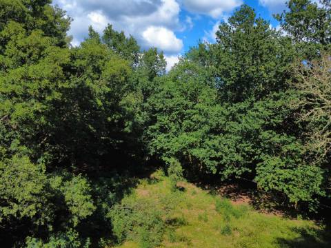 Quinta Isolada com Água de Mina e Dependência Agrícola em Arcos de Valdevez