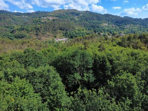 Quinta Isolada com Água de Mina e Dependência Agrícola em Arcos de Valdevez