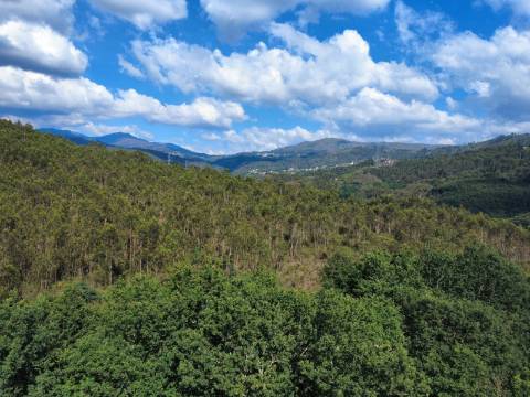 Quinta Isolada com Água de Mina e Dependência Agrícola em Arcos de Valdevez