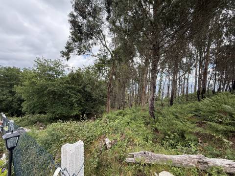 Terreno de Construção em Sabadim, Arcos de Valdevez