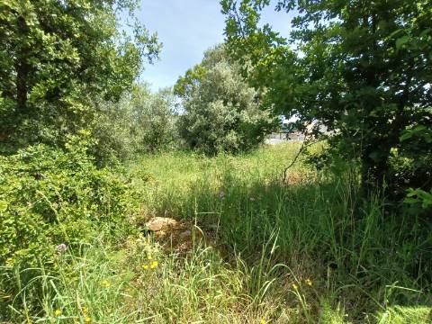 Terreno para Construção - Viana do Castelo